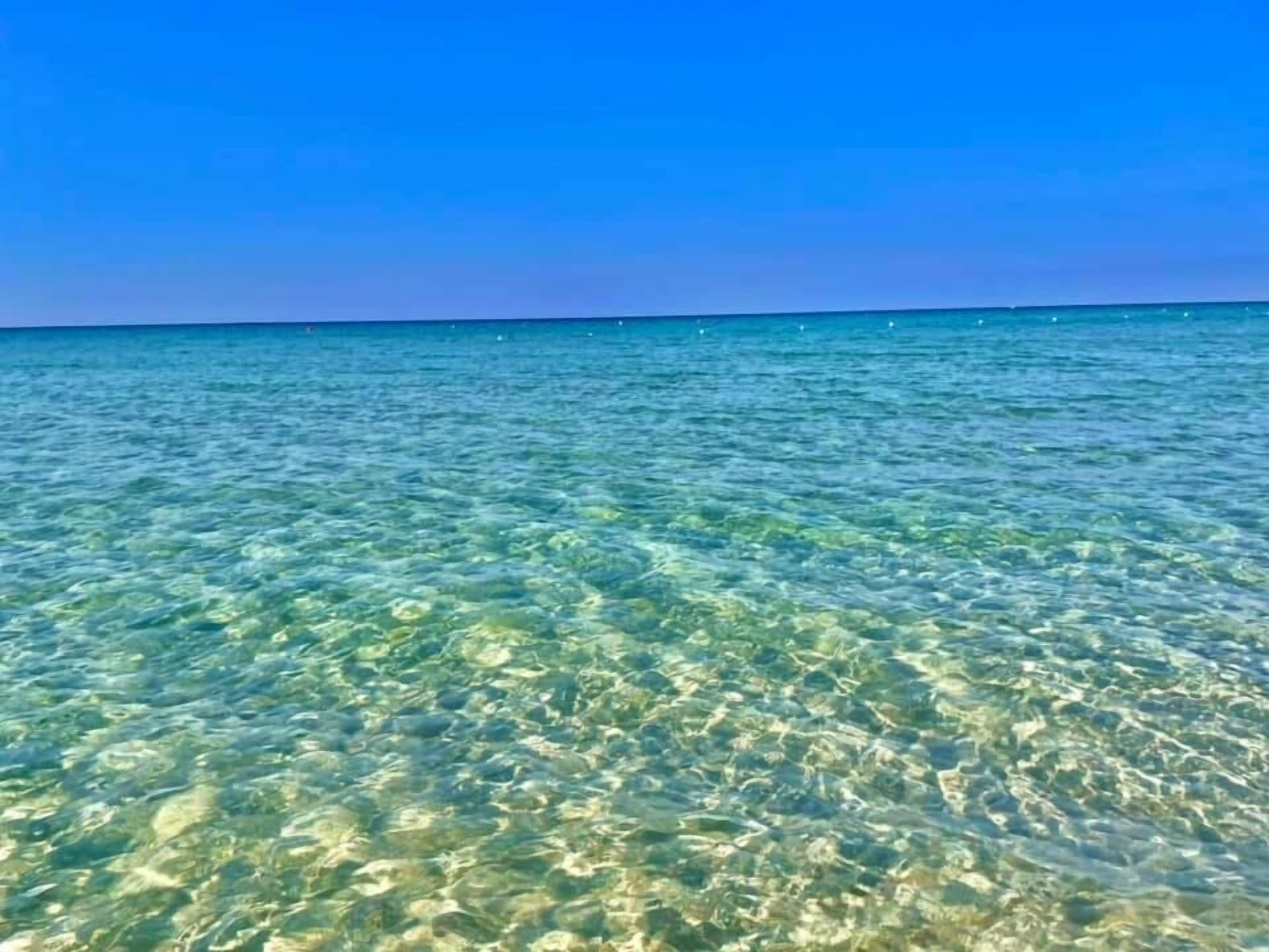 Clear shallow water with a visible sandy bottom, likely a beach or shallow sea.