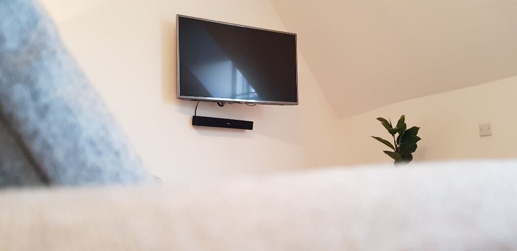 A flat-screen TV mounted on a wall, a potted plant, and a couch.