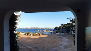 An outdoor patio with a view of the sea, potted plants, and a bench. - Holiday House Palau (Palau)