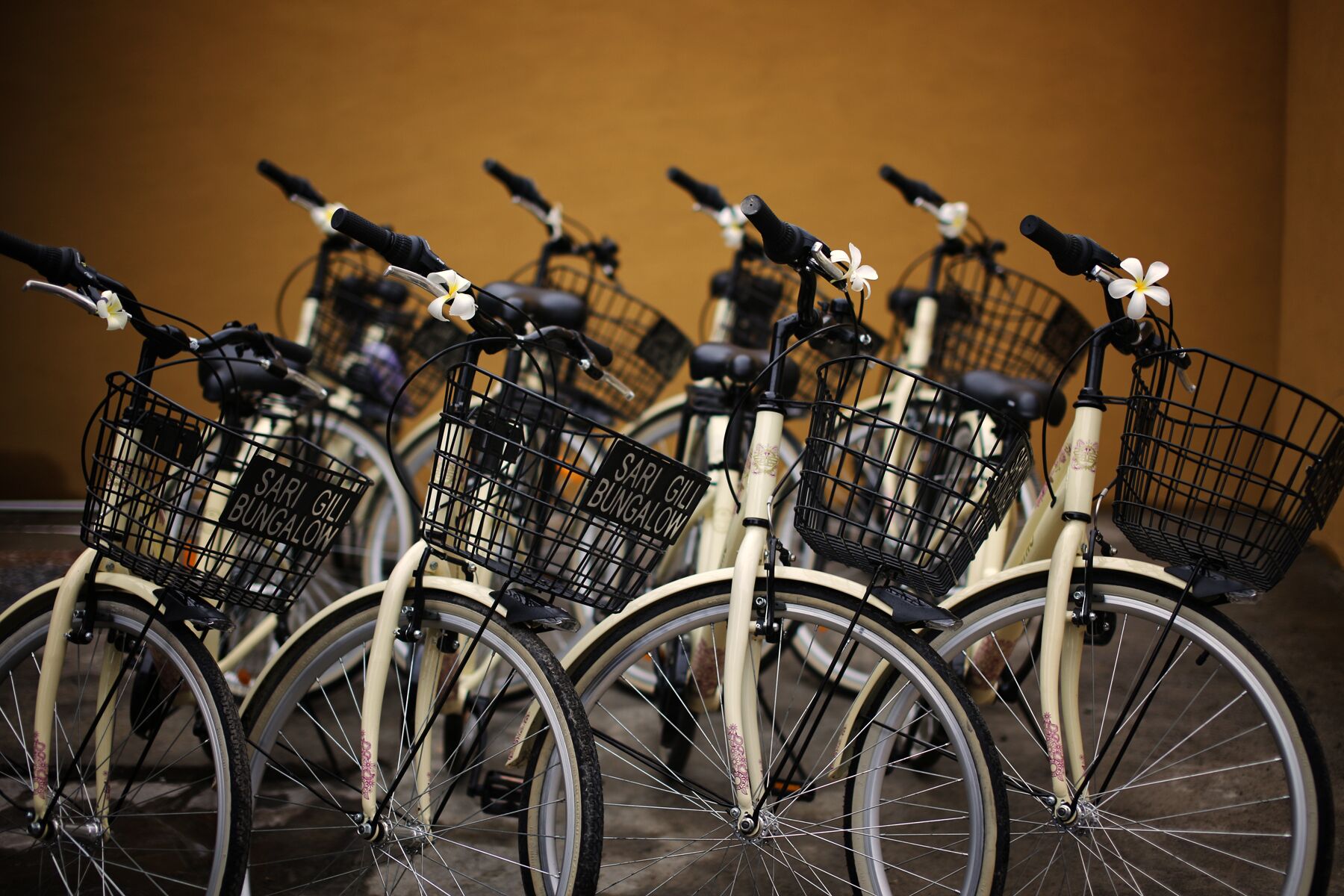 Photo - Sari Gili Bungalow