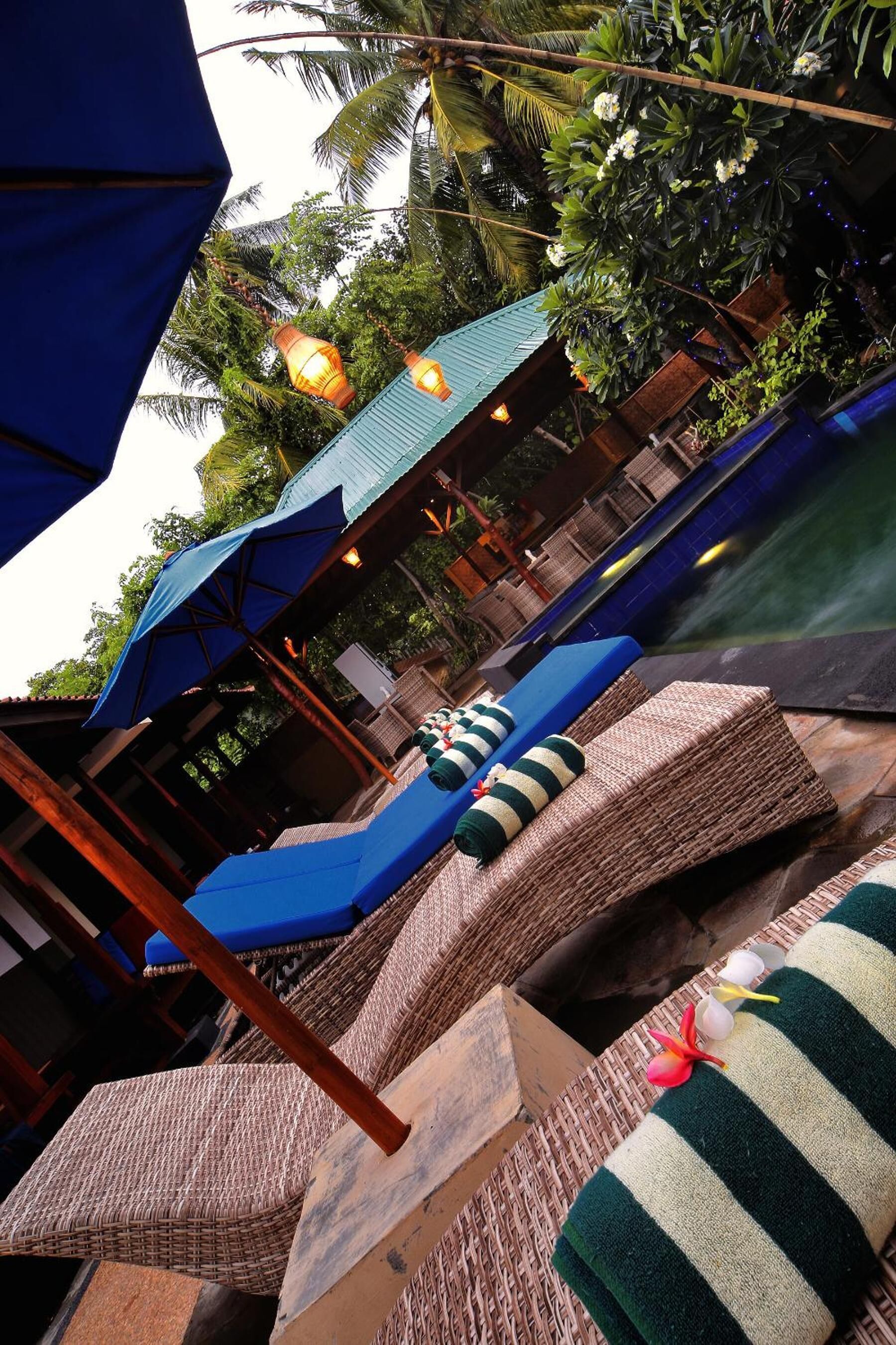 Outdoor pool, sun loungers
