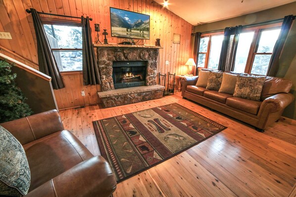 TV, fireplace, DVD player, video library