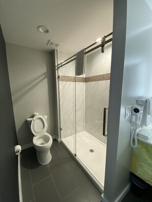 Bathroom shower - Palace Inn (Humble)