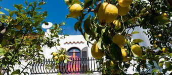 Casa Vacanza La Limonaia