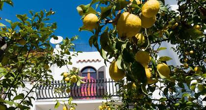 Casa Vacanza La Limonaia