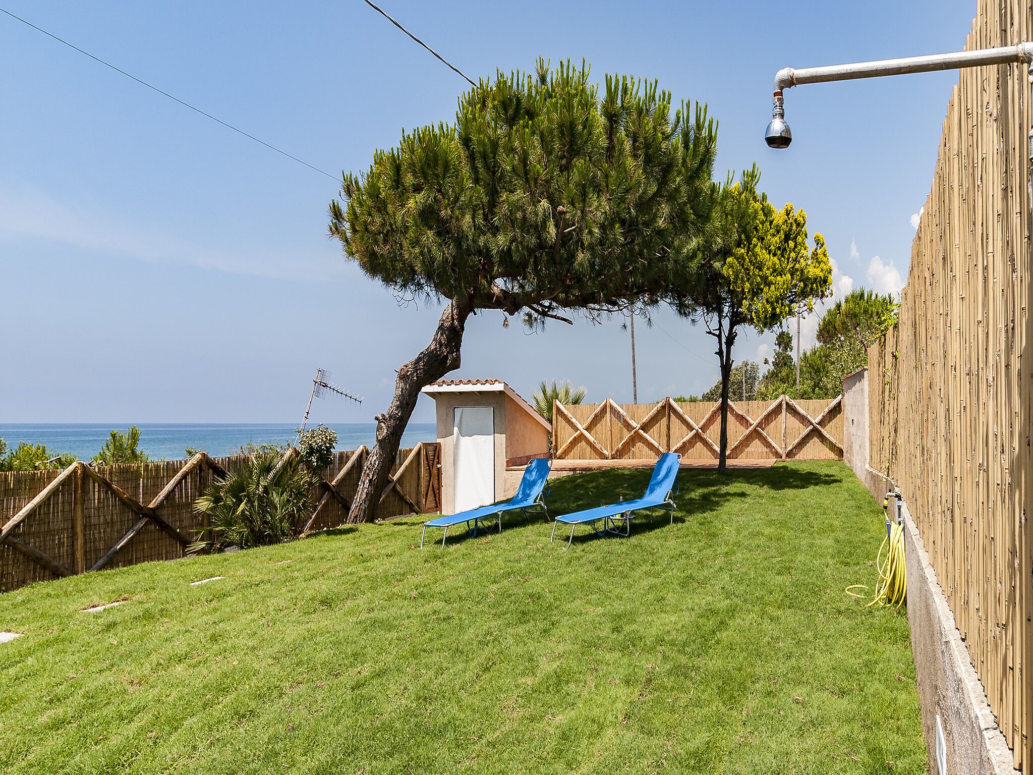 A backyard with a tree, two blue lounge chairs, a small shed, and a wooden fence.