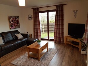 تلفزيون ذكي