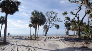 Una playa arenosa con palmeras y un cielo despejado.