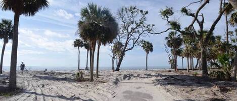 Sun loungers, beach towels