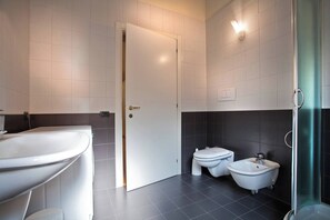 Shower, hair dryer, bidet, towels