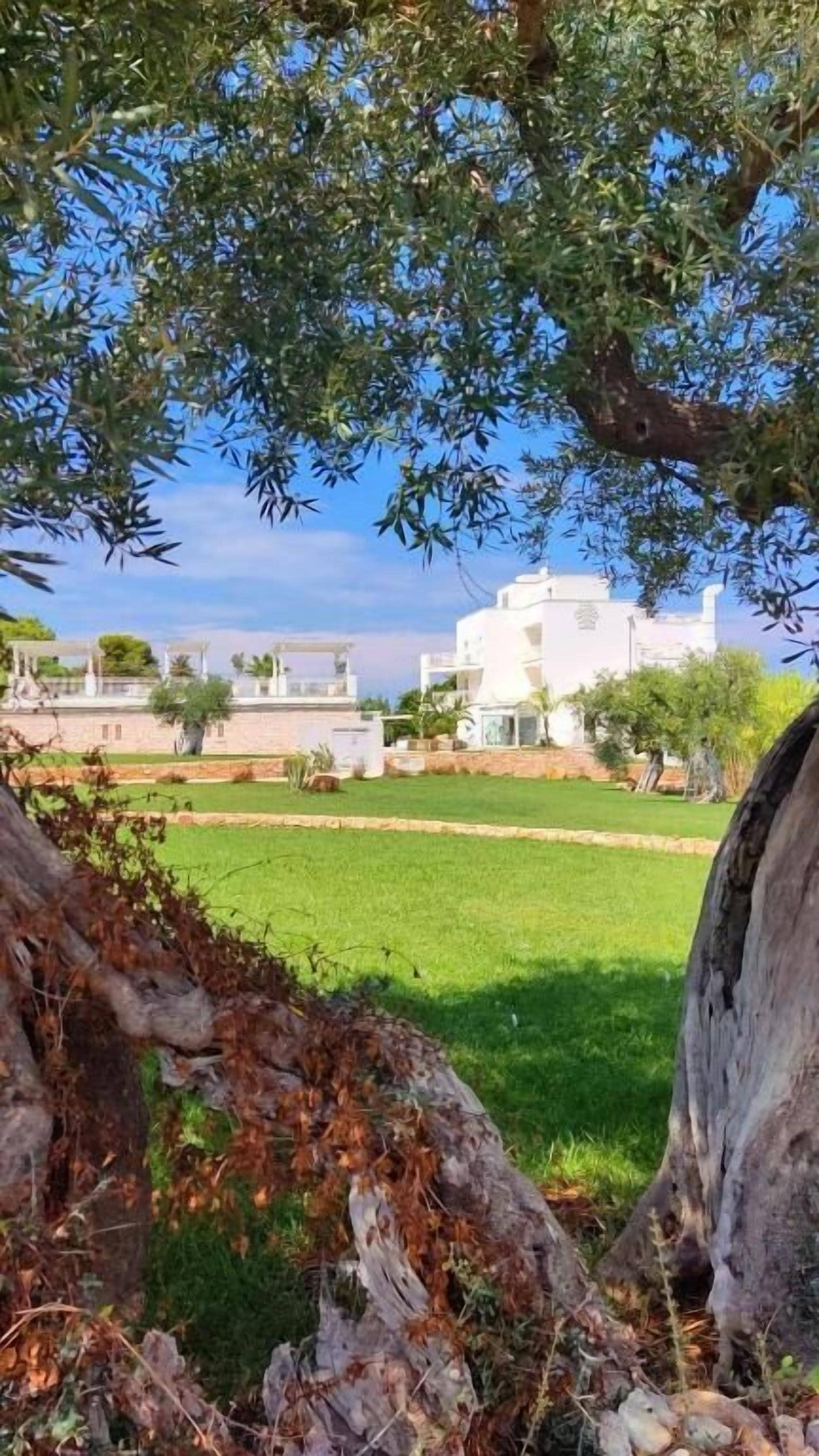 Photo - San Lorenzo Boutique Hotel & SPA