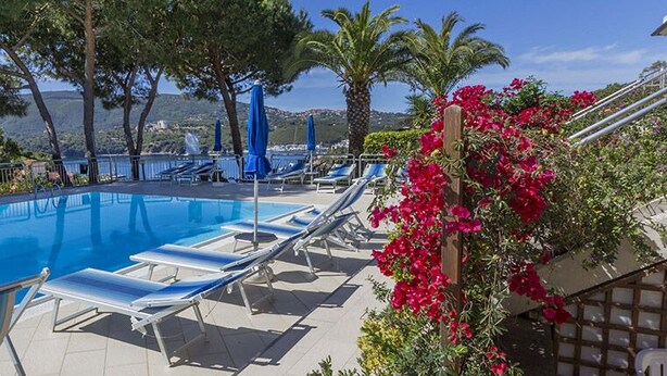 Une piscine entourée d’arbres et de fleurs, avec des chaises longues et des parasols.