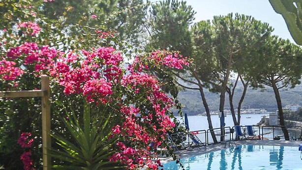 A pool area with a view of the sea, surrounded by cacti and pink flowers. - Il Porto Trilocale 7 (Porto Azzurro)
