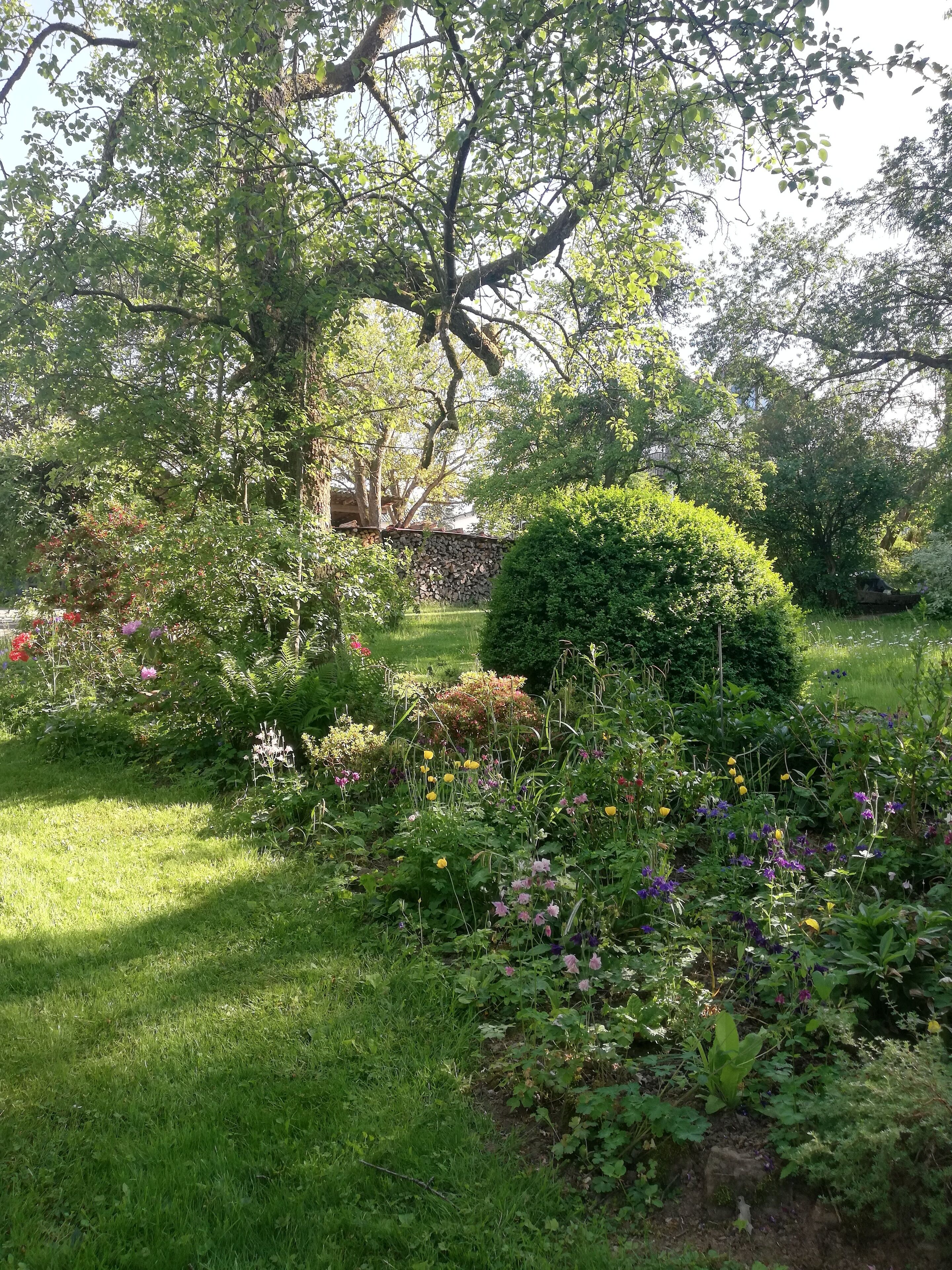 A lush garden with various plants and flowers, a stone wall, and a large tree providing shade.