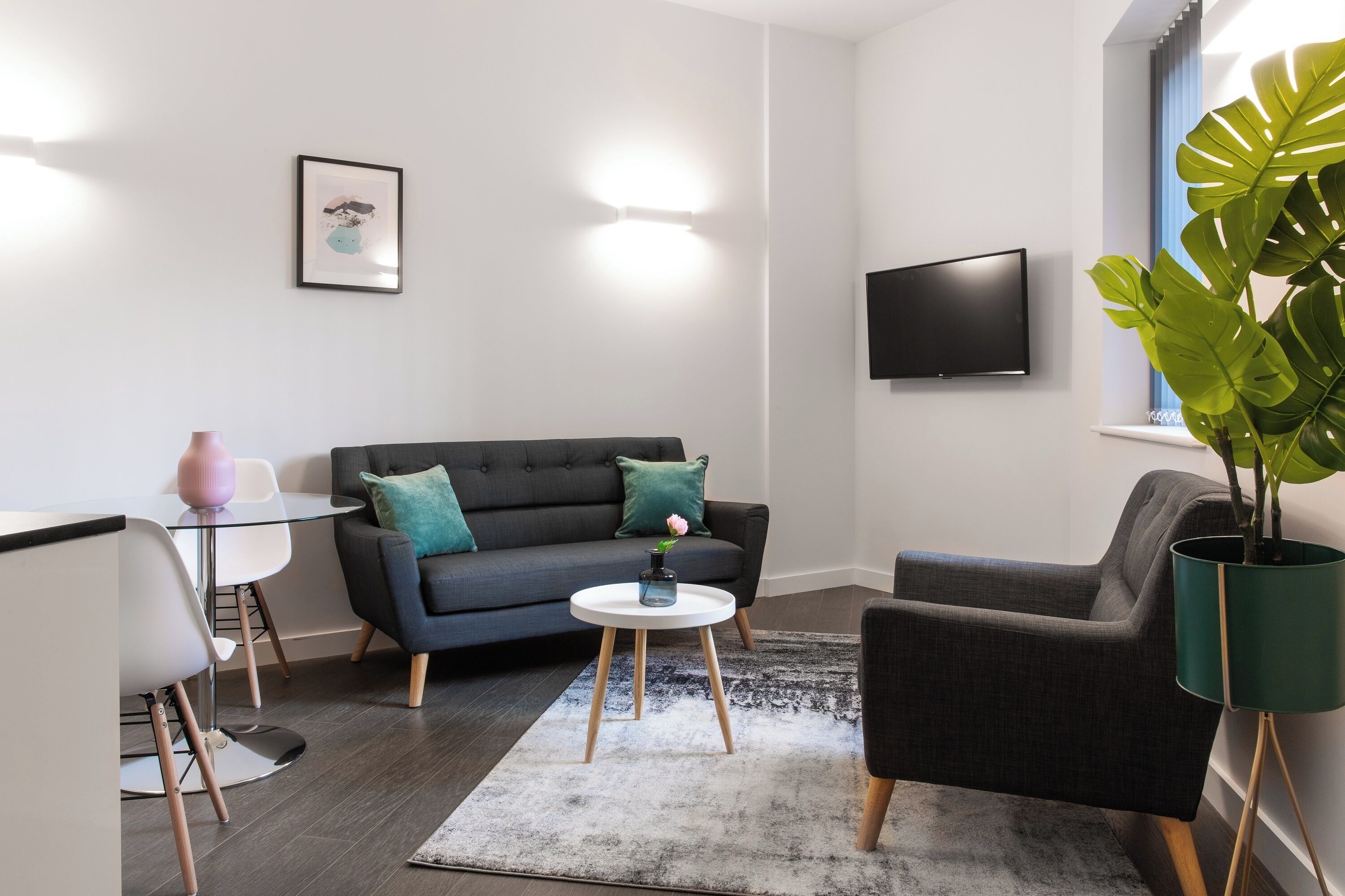 A modern living room with a grey sofa, a round coffee table, a TV mounted on the wall, and a large green plant.