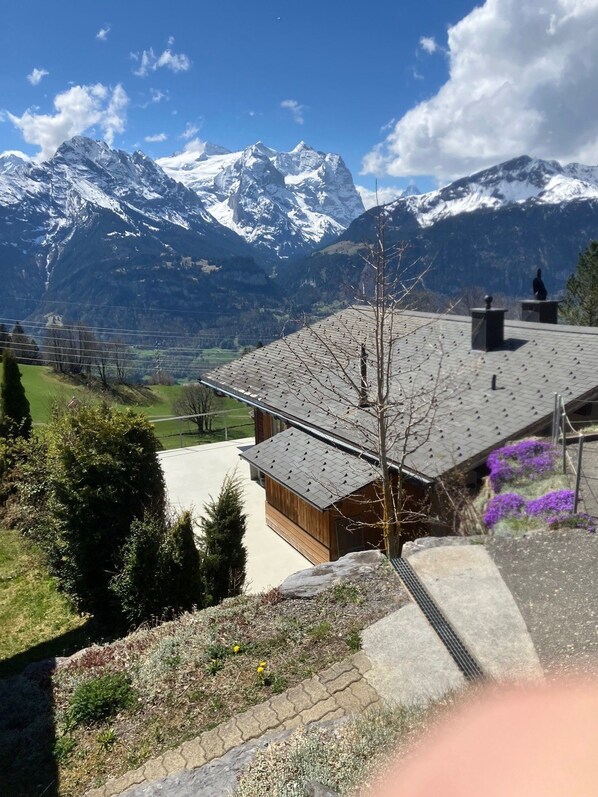 Property grounds - Chalet Buebeberg holiday home with 8 beds (Hasliberg Wasserwendi)