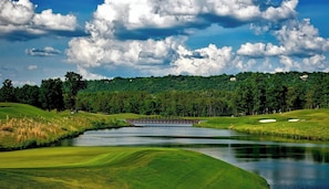 Golf - Snowmobile, Skiing, and Outdoor Paradise/Cabin (Niagara)