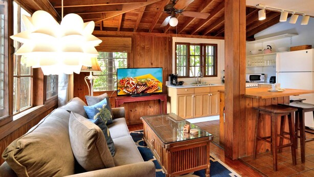 A cozy cabin interior with a wooden ceiling, a dining area, a kitchen with modern appliances, and a large window providing natural light. - ~ SOLARIS PAIR-A-DISE ~ A garden lover’s dream on a quiet Key West lane. (Key West)