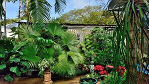 A wooden deck surrounded by lush tropical plants and a wooden fence. - ~ SOLARIS PAIR-A-DISE ~ A garden lover’s dream on a quiet Key West lane. (Key West)