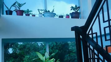 Nội thất