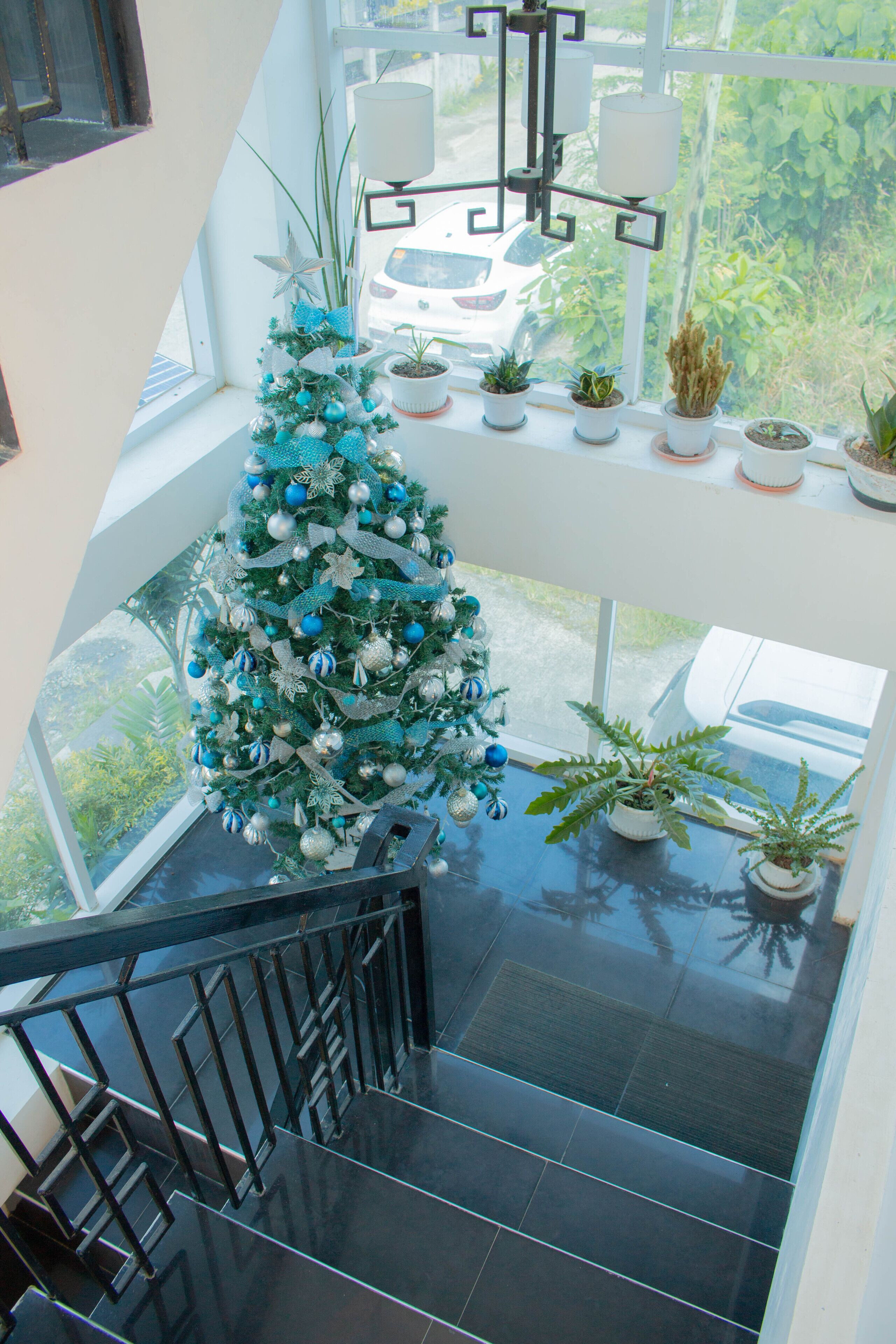 A staircase with a Christmas tree decorated with blue and white ornaments, leading to a balcony with potted plants and a view of greenery outside.