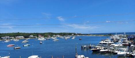 A marina with numerous boats docked at piers, surrounded by greenery and buildings in the background.