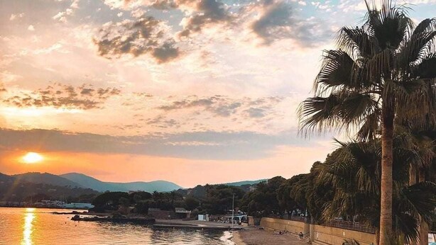 Una playa con atardecer, palmeras y mar en calma.