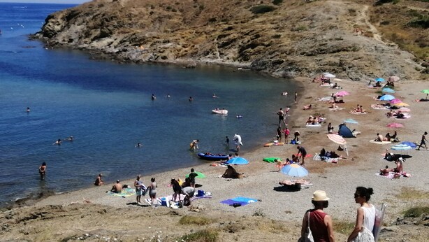 A beach with people sunbathing and swimming, surrounded by rocky terrain and trees. - Comfortable Fisherman's House (Llançà)