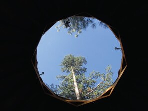 Niet-geclassificeerde afbeelding, 5 van 11, knop