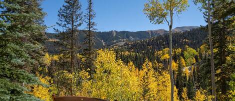 Casa, várias camas (HILLTOP HIDEAWAY) | Área da propriedade