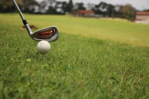 A golf club positioned above a golf ball on a grassy field. - La Rosa Canina [Tuscany cottage] (Cana)