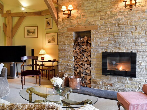 TV, fireplace