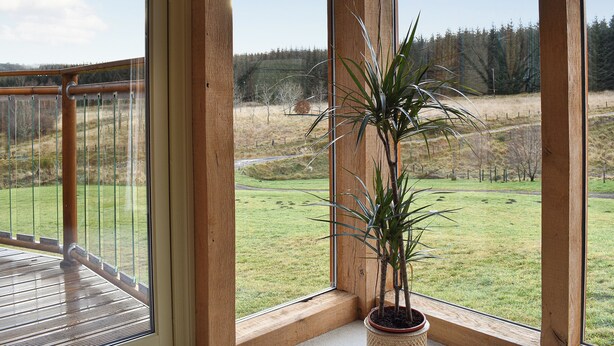 A wooden balcony with a potted plant, a glass railing, and a view of a grassy field and trees. - 3 bedroom accommodation in Glenlivet, near Dufftown (Glenlivet, near Dufftown)