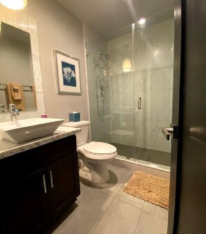 Combined shower/bathtub, hair dryer, towels, soap