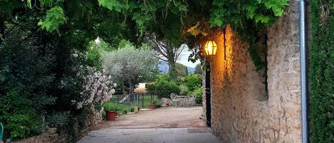 Área da propriedade