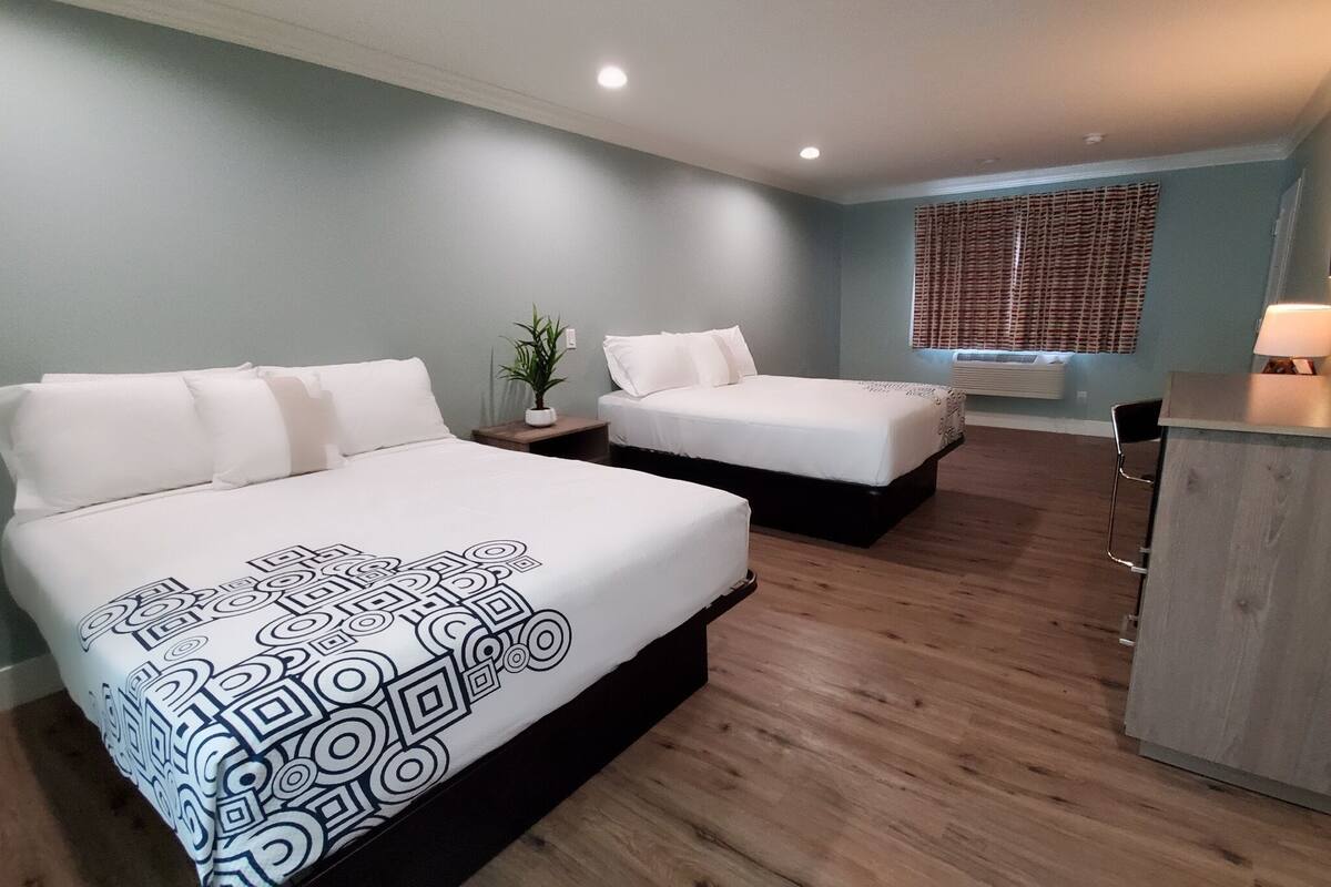 A hotel room with two beds, a desk, a chair, a potted plant, and a window with blinds.