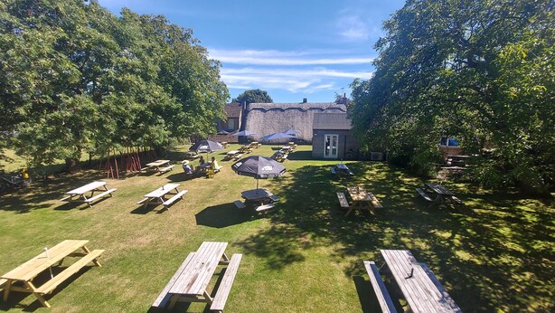 Un espace extérieur aménagé avec des tables de pique-nique et des parasols, entouré d’arbres et avec un bâtiment visible au loin.