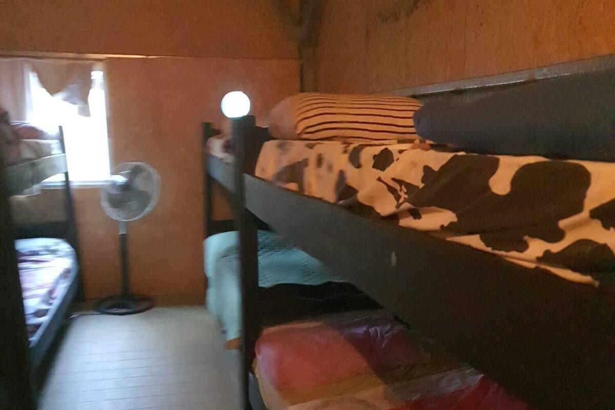 Shared Dormitory, 3 Bunk Beds, Shared Bathroom | In-room safe, free WiFi