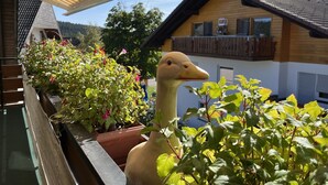 Ein Balkon mit Blumentöpfen und einer Entenfigur.