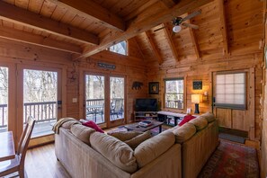 TV, fireplace, video games, DVD player