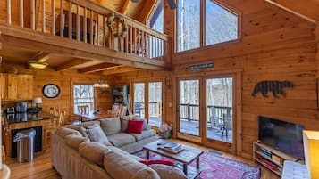 TV, fireplace, video games, DVD player