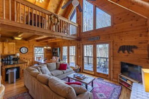 电视、壁炉、电子游戏、DVD 播放器