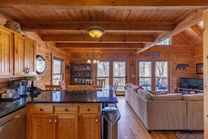 TV, fireplace, video games, DVD player
