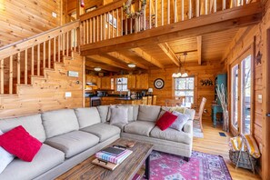 TV, fireplace, video games, DVD player