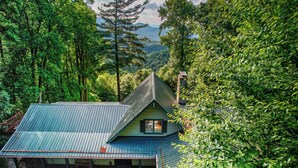 A cabin with a sloped roof, surrounded by dense forest. - 1 Sublime View - Beautiful views, hot tub, great amenities, close to Boone! (Deep Gap)