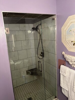 Combined shower/tub, hair dryer, toilet paper