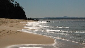 Une plage avec un rivage sablonneux et des vagues douces.