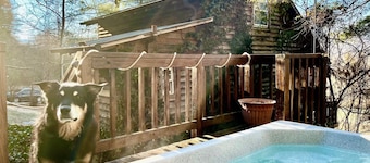 Broadwing Farm Cabins -Pine Cabin- Hot Tub with Mineral Water