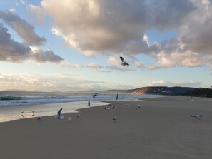 Beach nearby, beach towels - Treetops Studio Apartment, Rainbow Beach Resort. (Rainbow Beach)