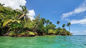 A tropical beach with clear turquoise water, lush greenery, and palm trees.